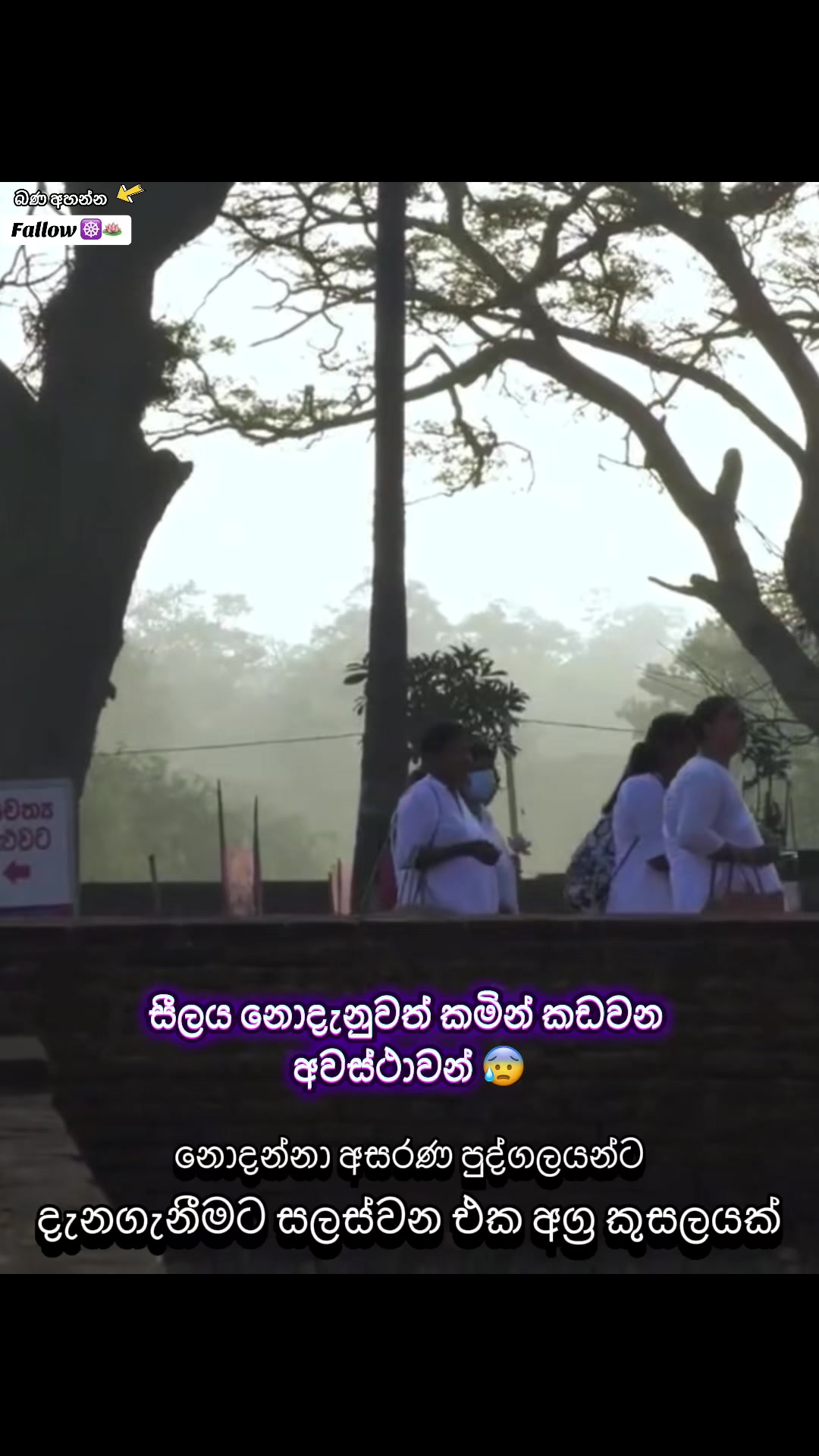 @තරුණ ජිවිතයට ධර්මය