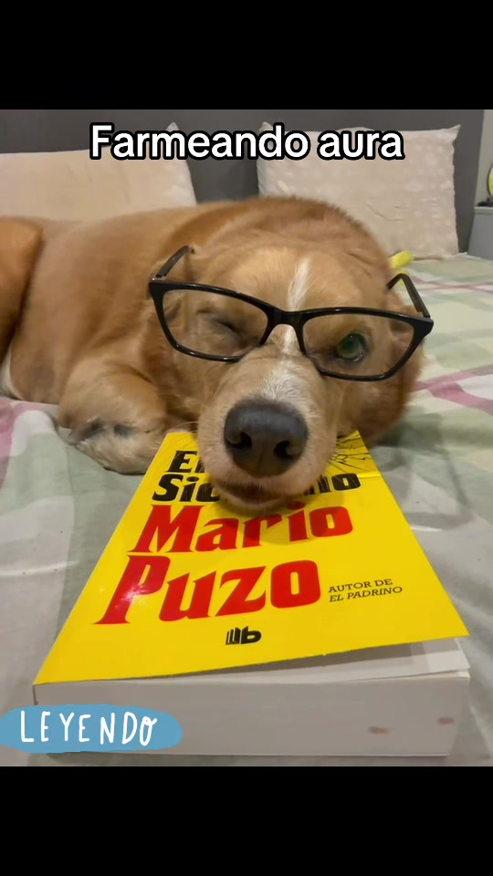 @Diario de Donny🐕 y mami👩🏻