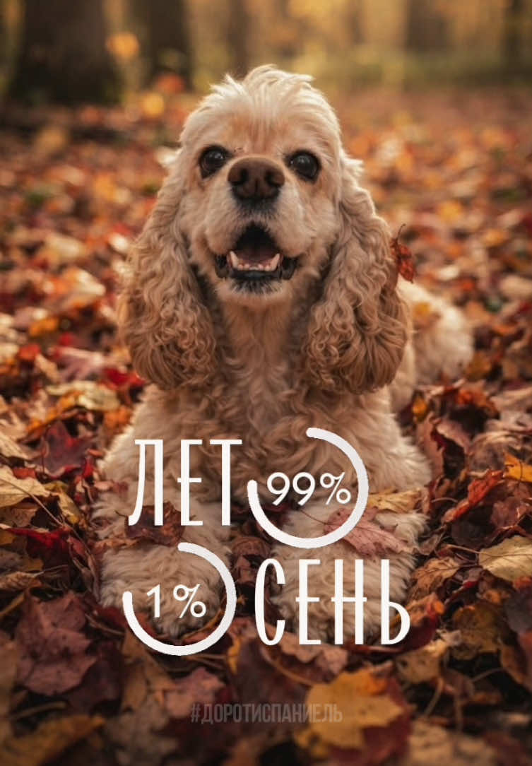 @Донна Дороти 🐶
