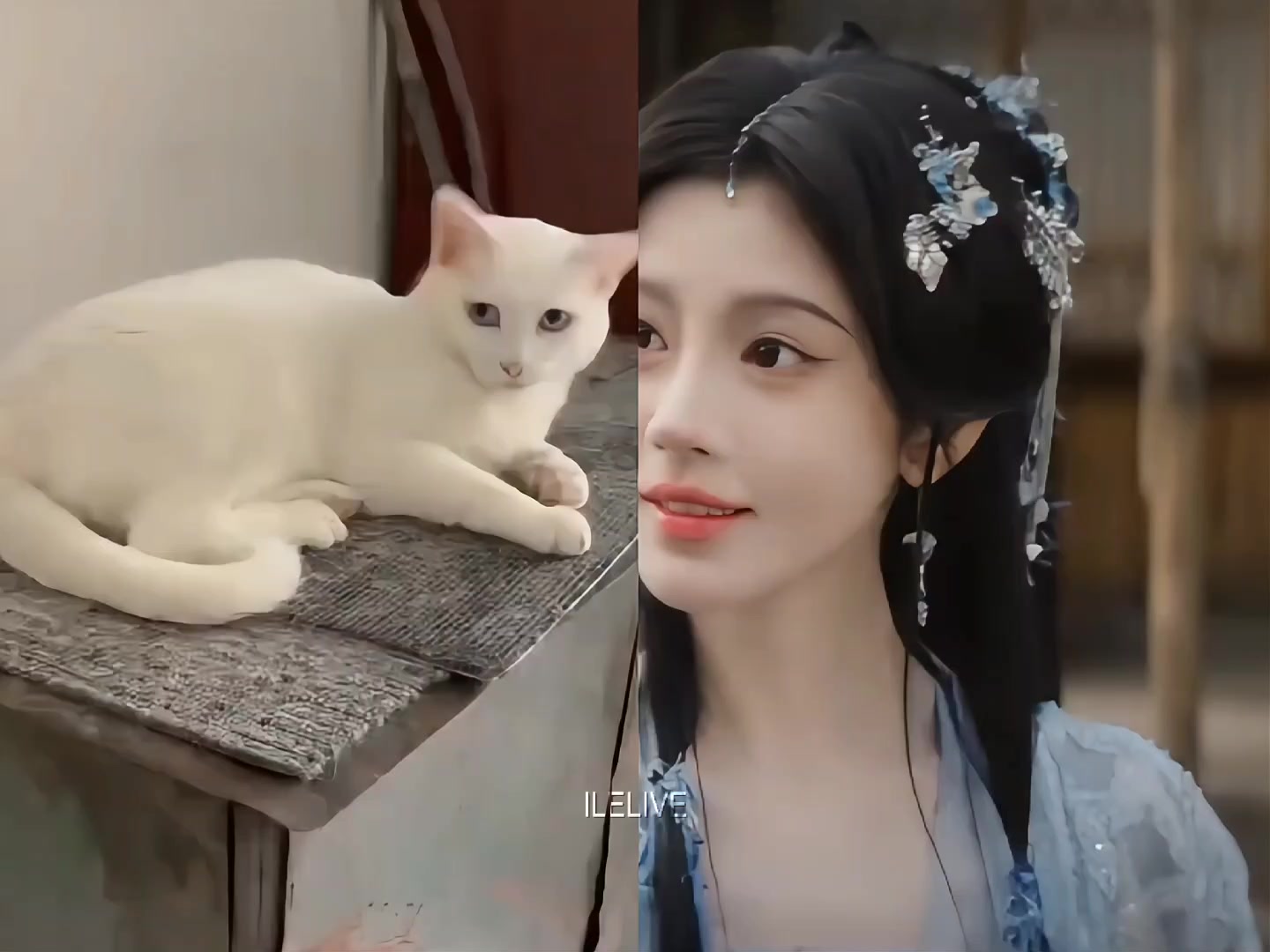 @ile 我老婆好美好帅