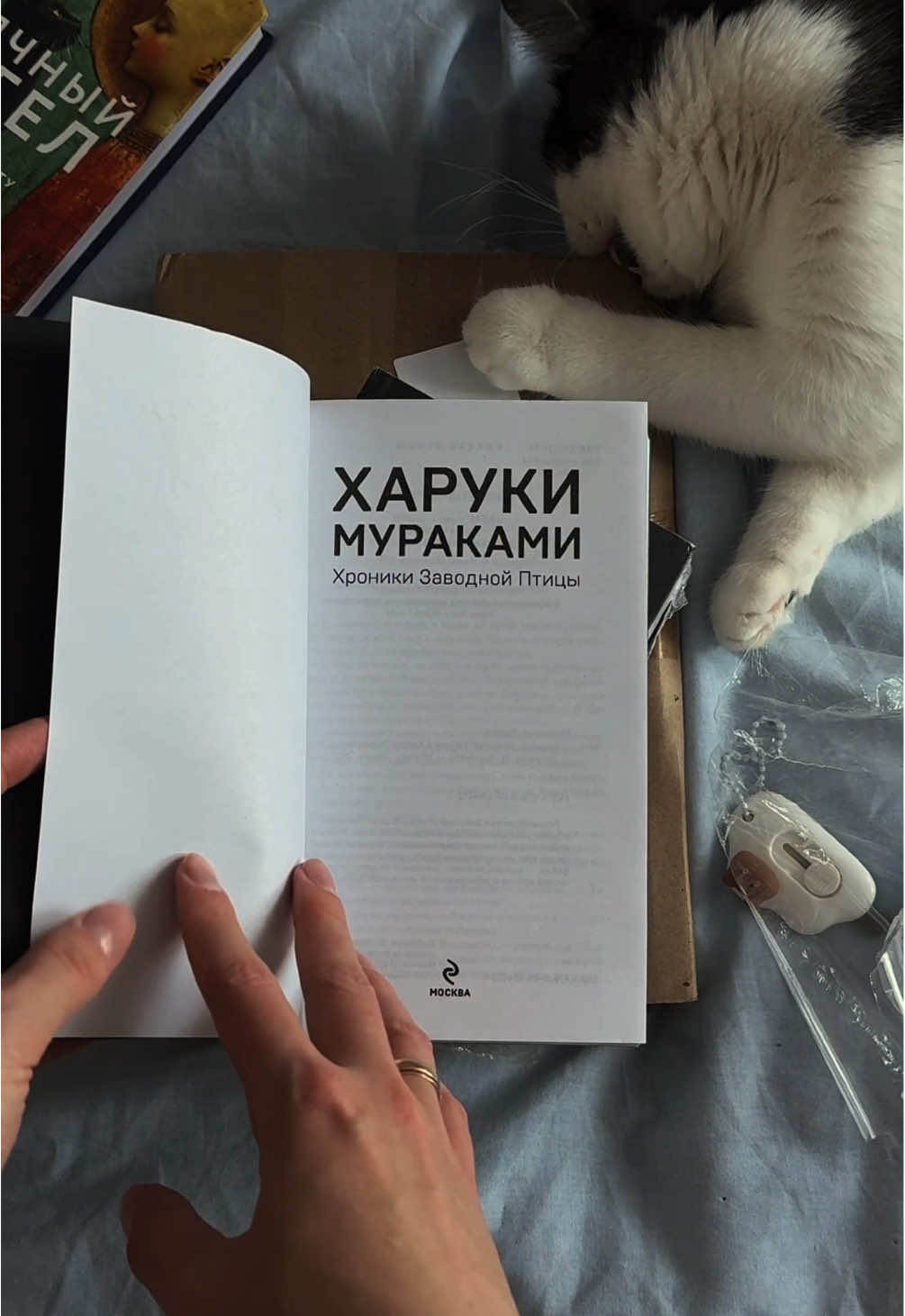 @алина в книжных вселенных