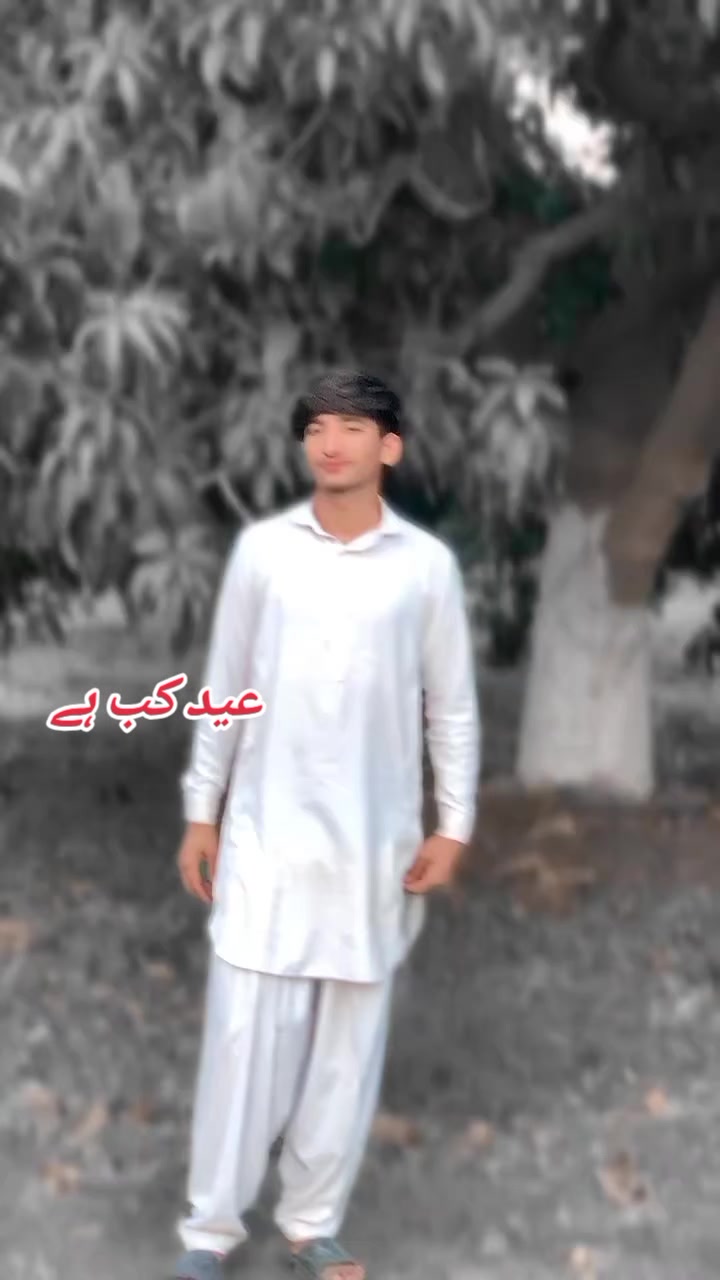 @👑Saqib Brand4055👑