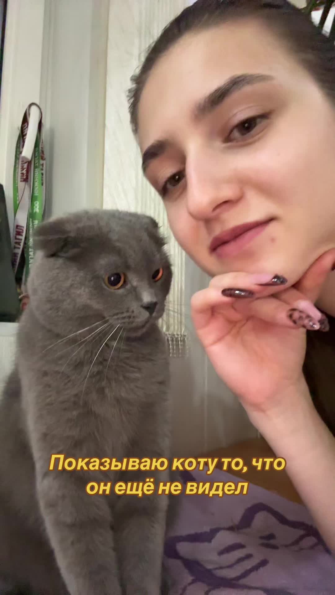 @ТГК: ЖуЧаРа🪲