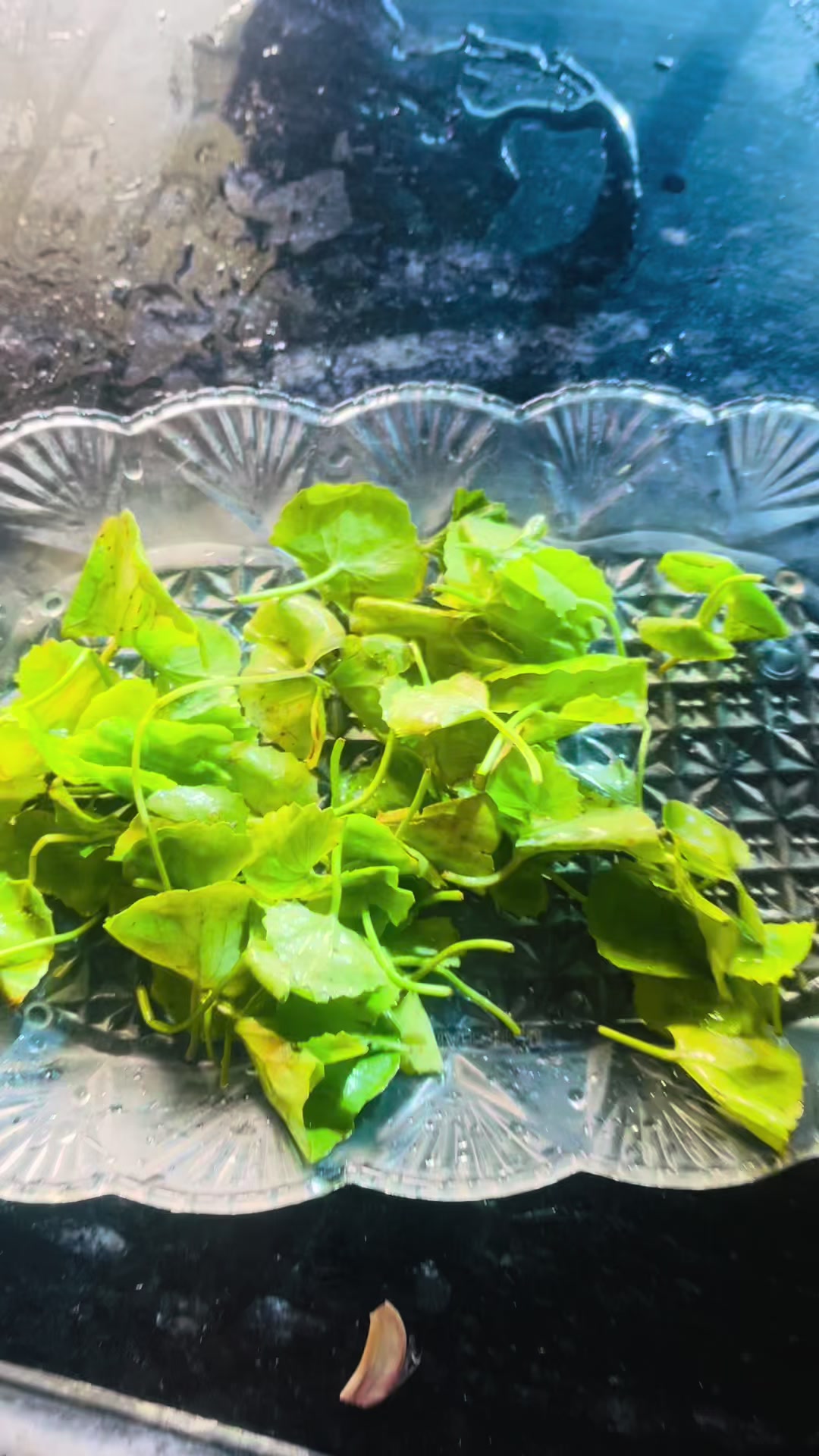 @अन्जना मिस😚💐🦋