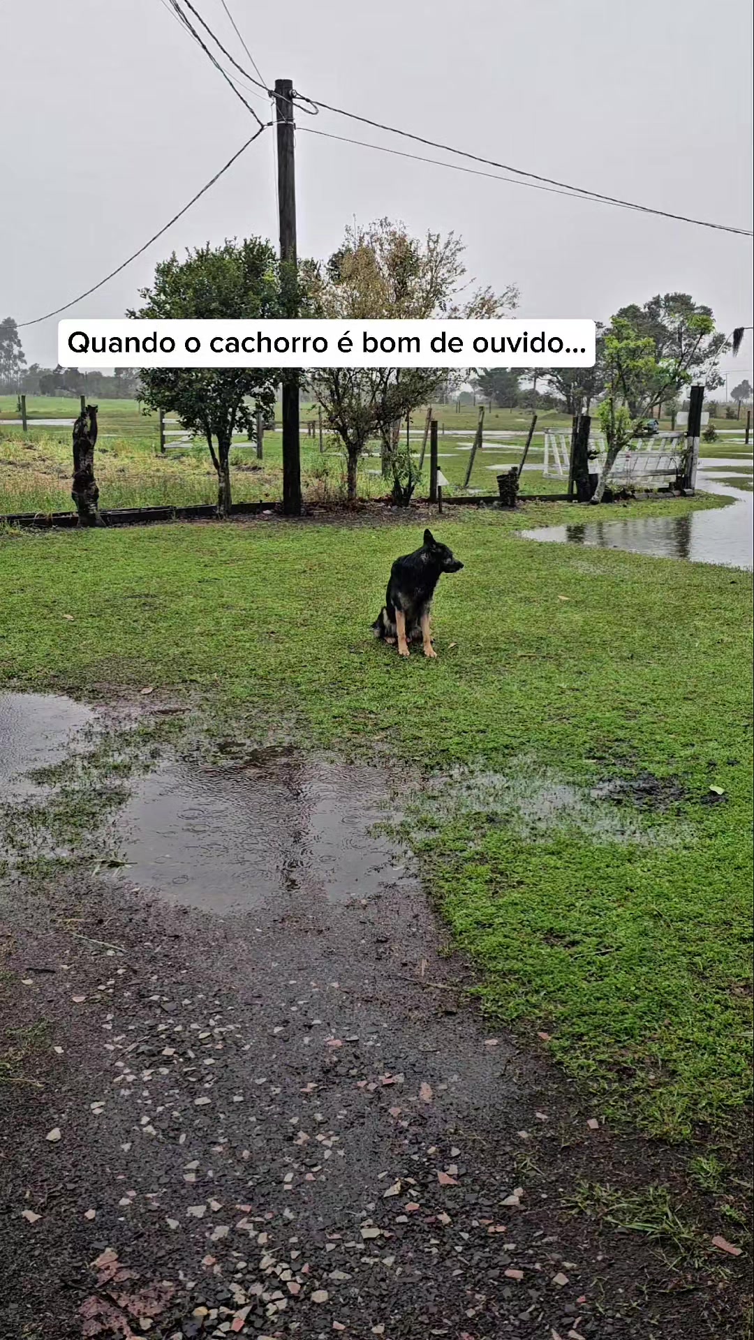 @Gilmar Júnior - Gaúcho Bagual