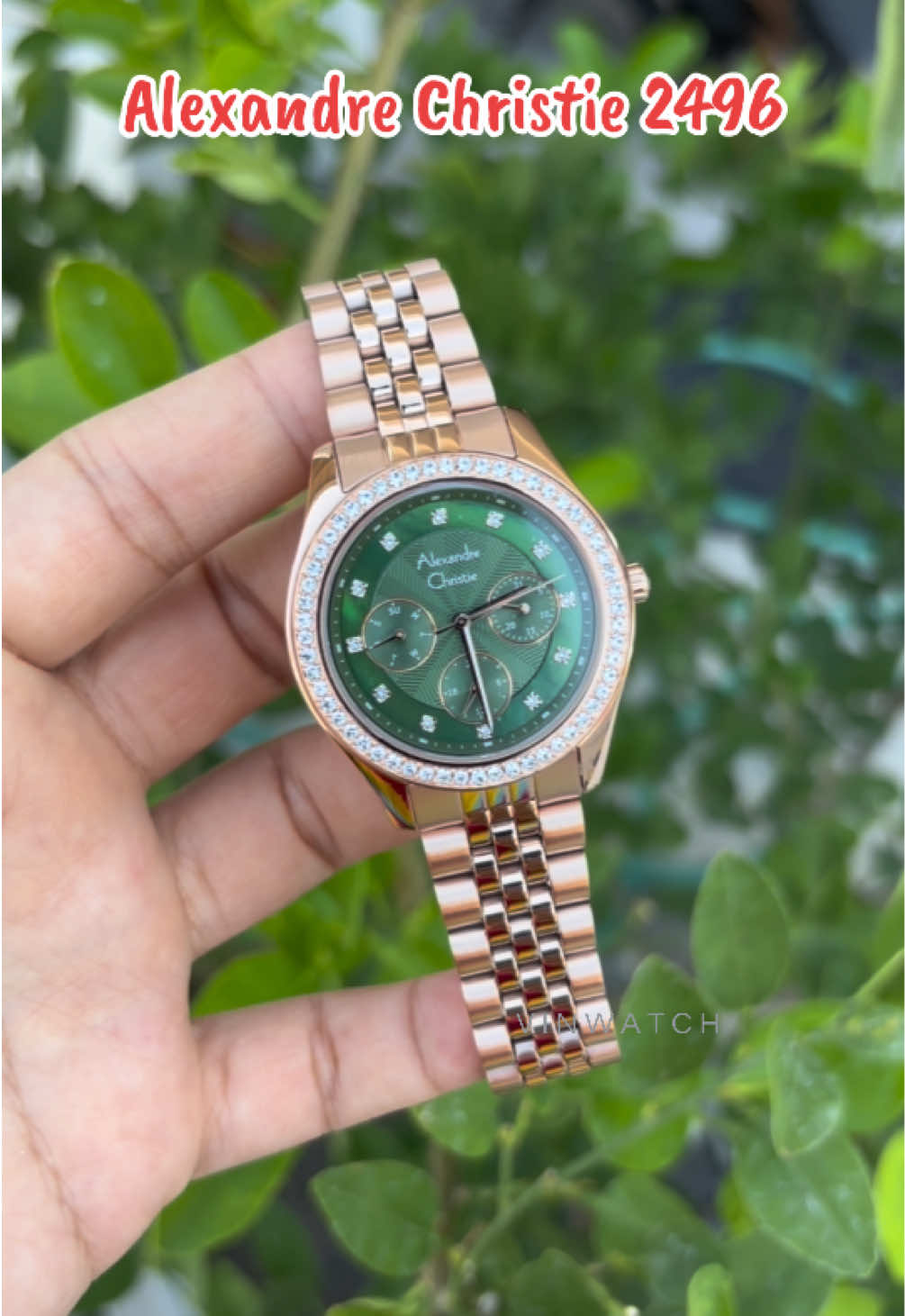 @vinwatch