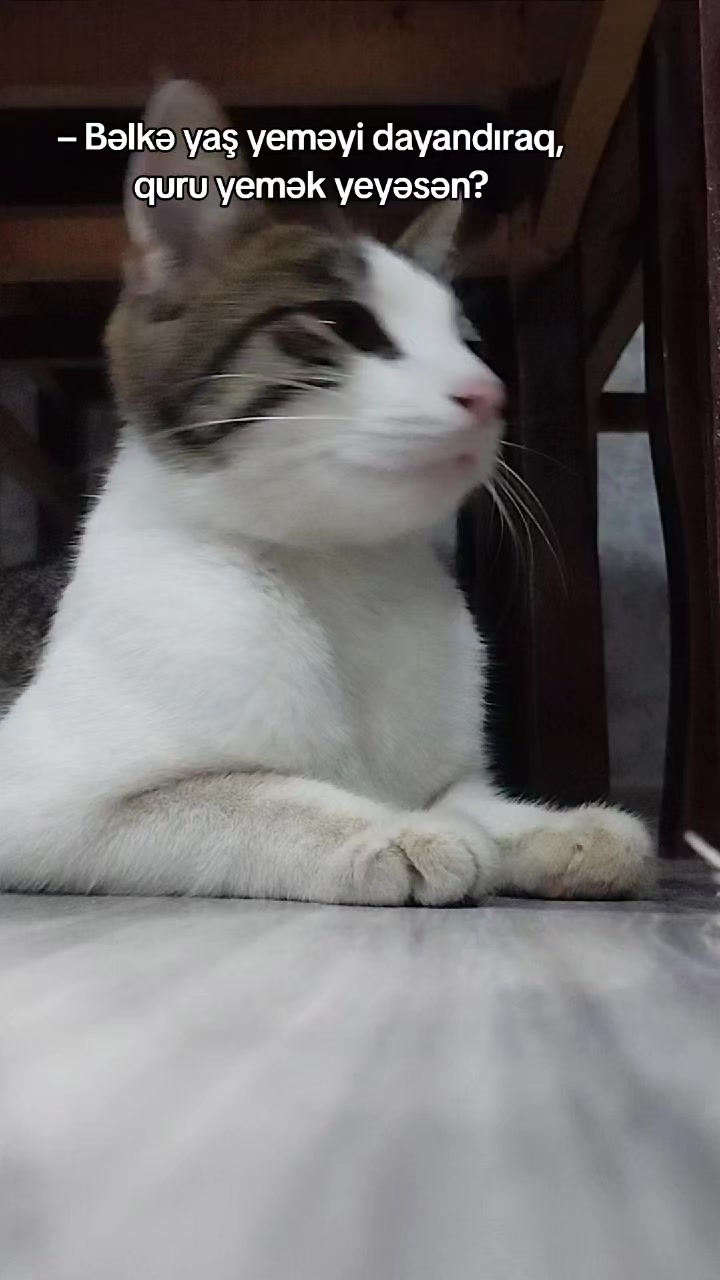 @🐾