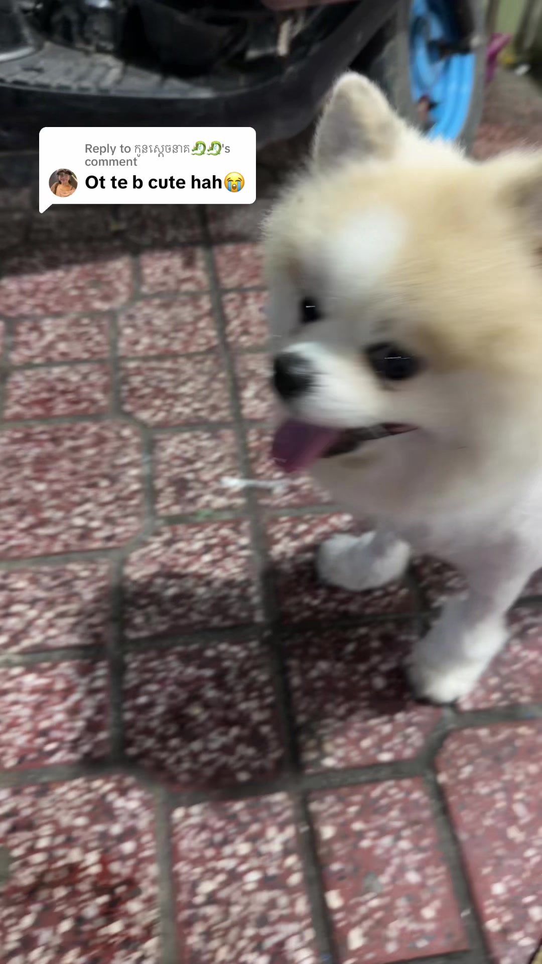 @๐ฎ๐๐๐ ๐๐๐๐