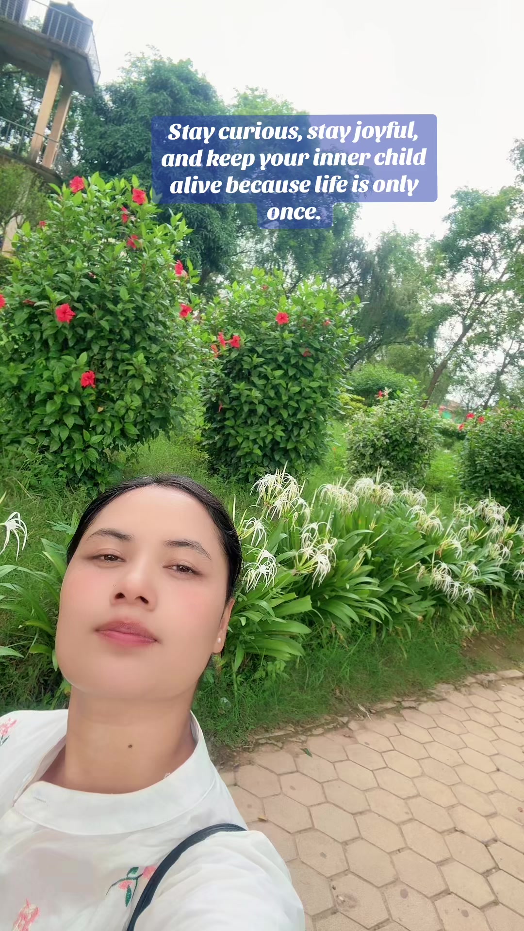 @🌸🕉🍁🕉🌺