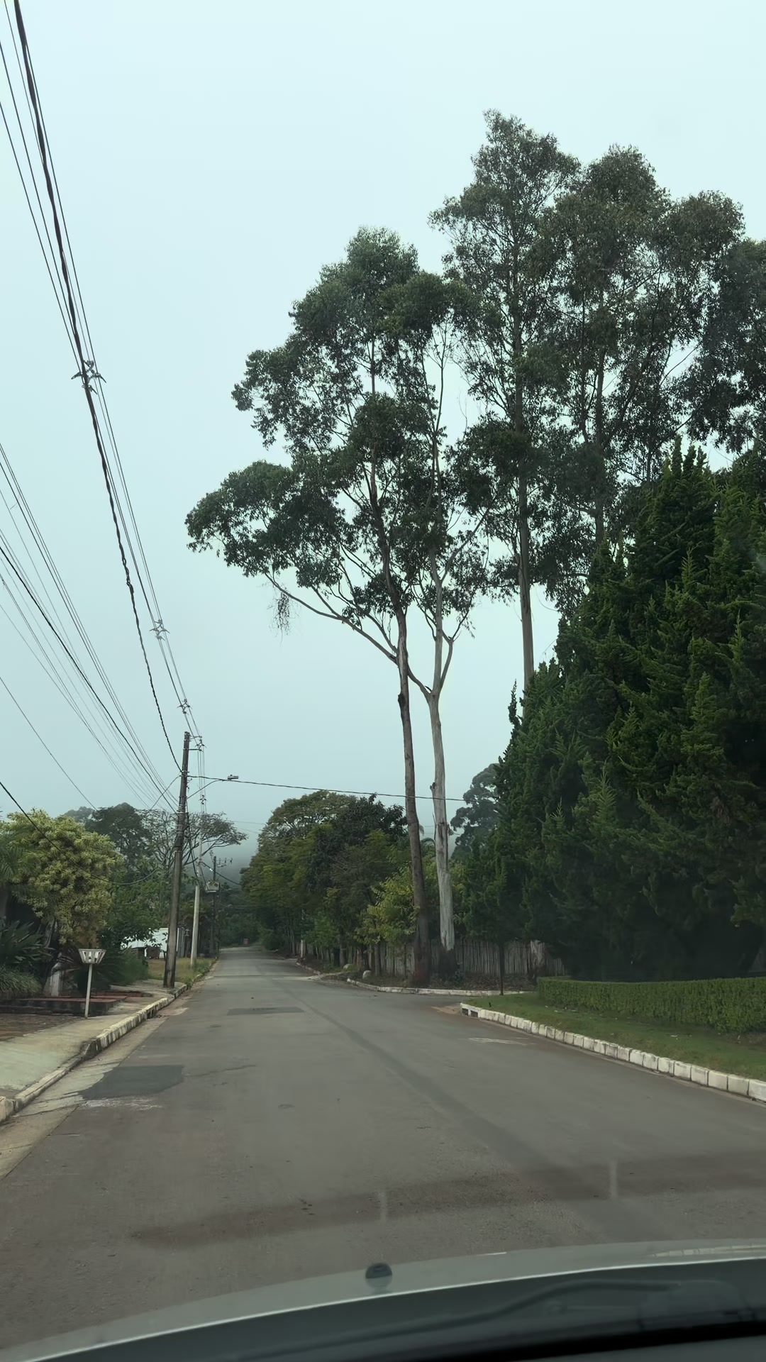 @bella barreto