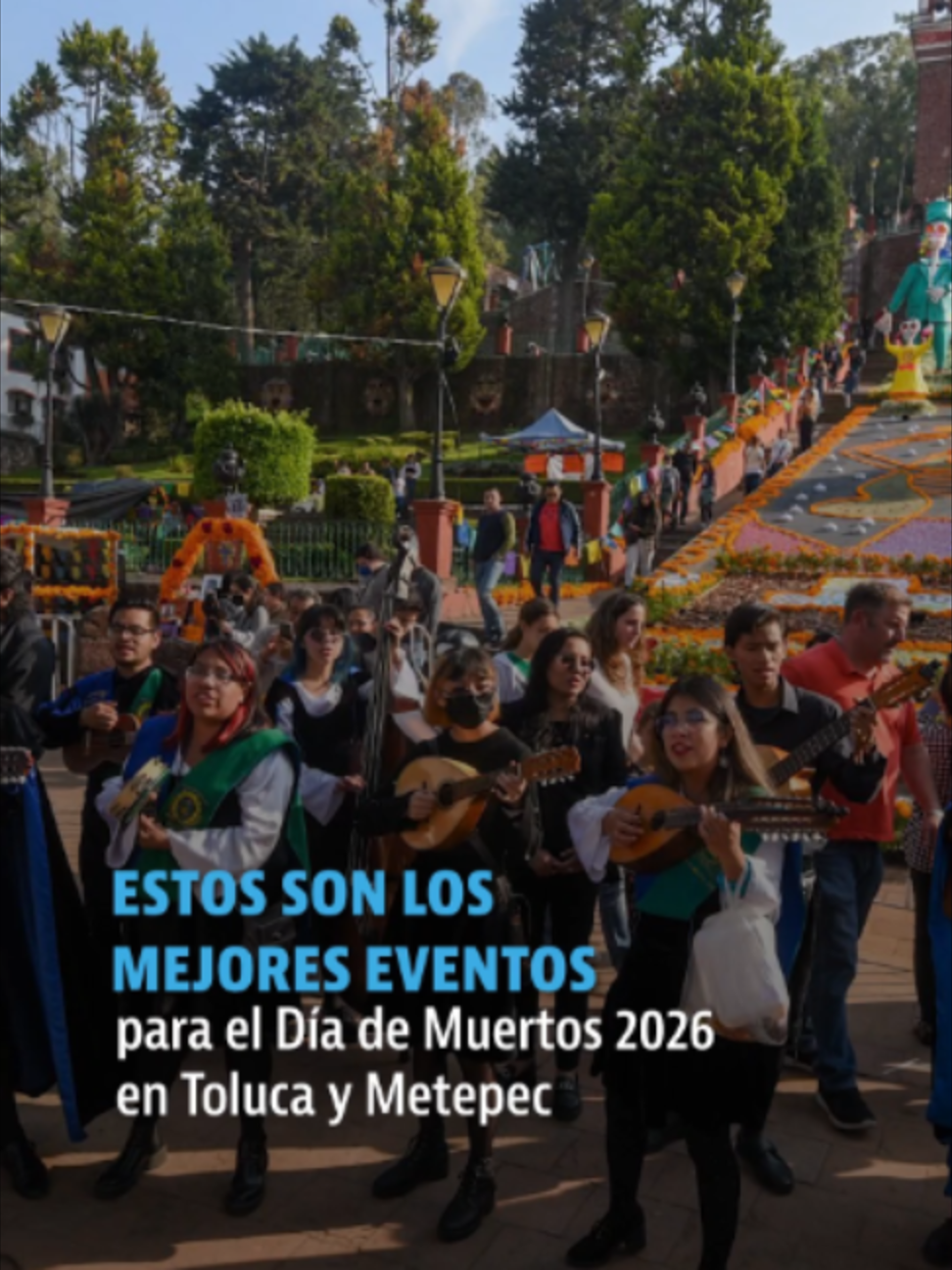 @elheraldodemexico
