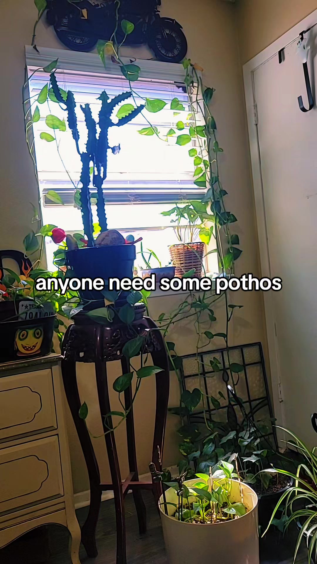 @hippiehandsbodywork