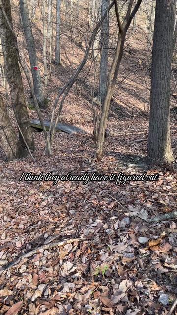 @cedarpineacres