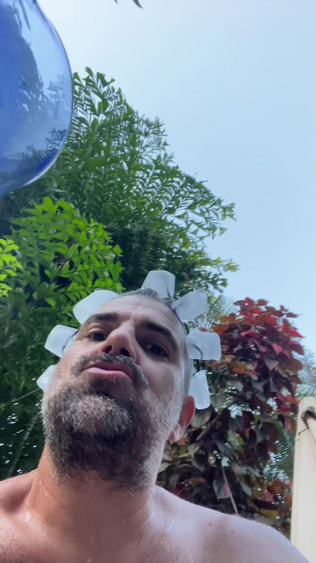 @bearfluence