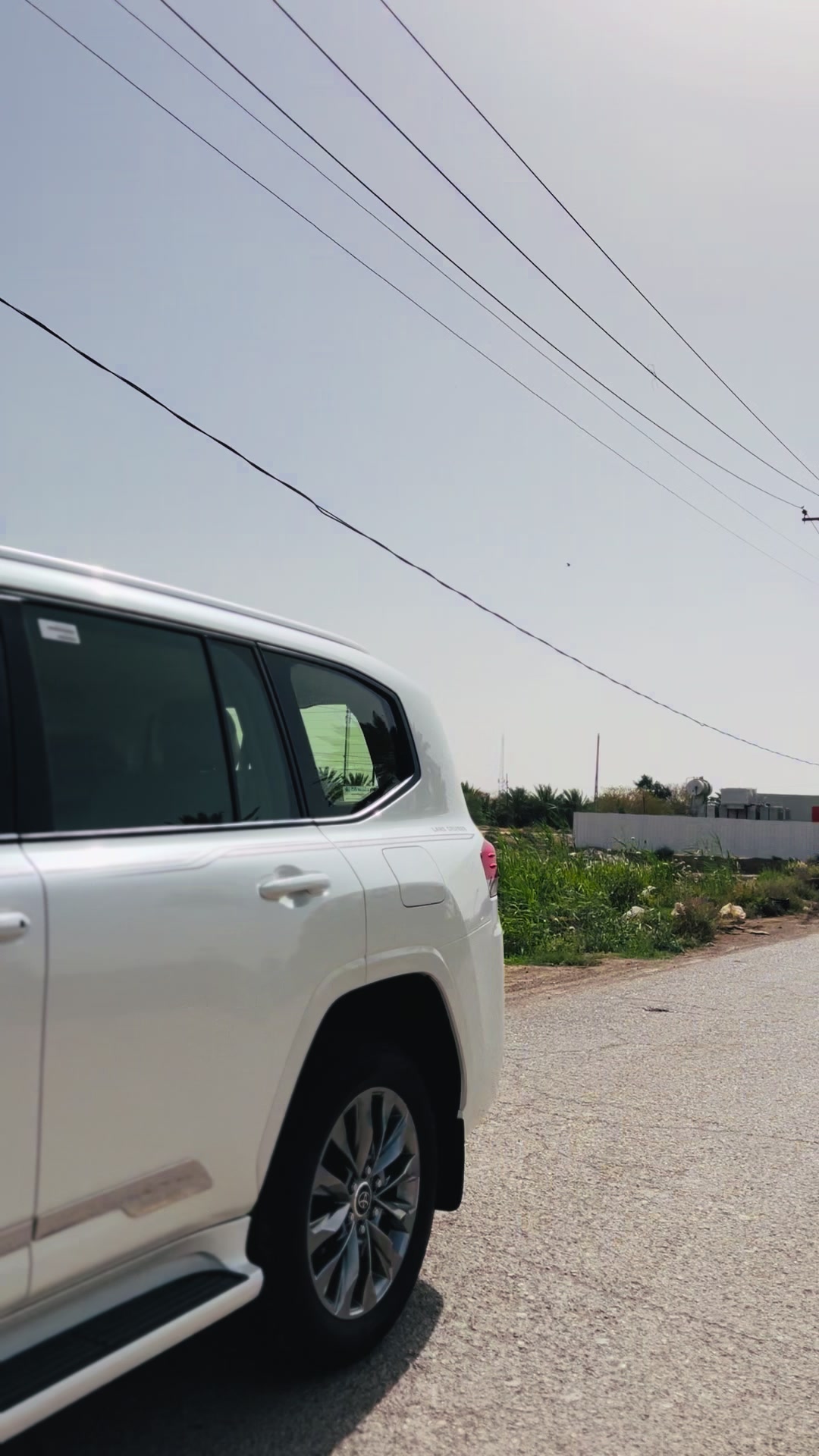 @الزعيم طال عمره