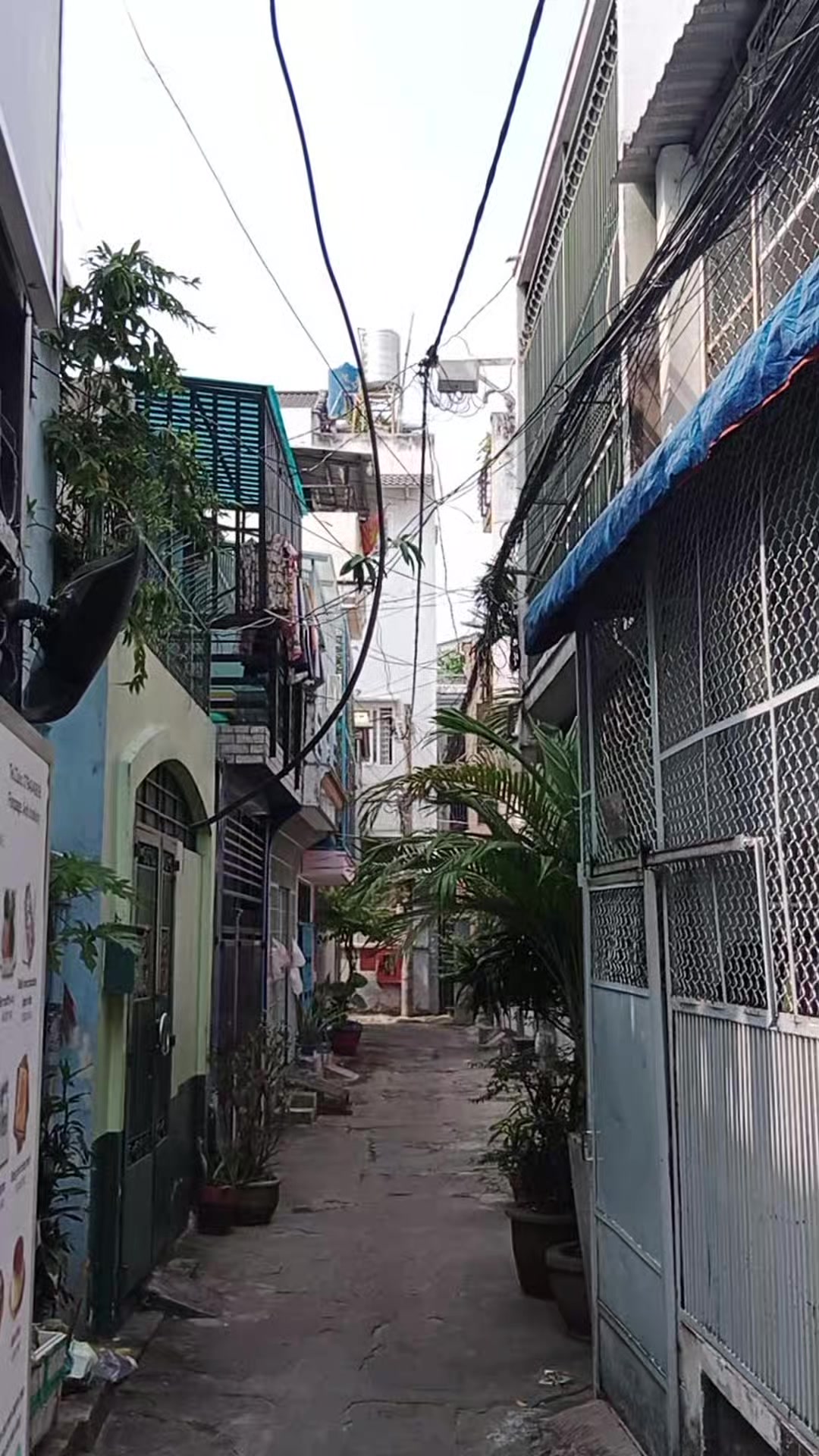 @Hải Phan