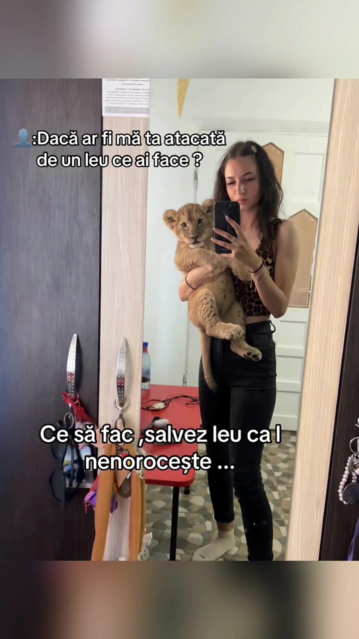 @Loe037
