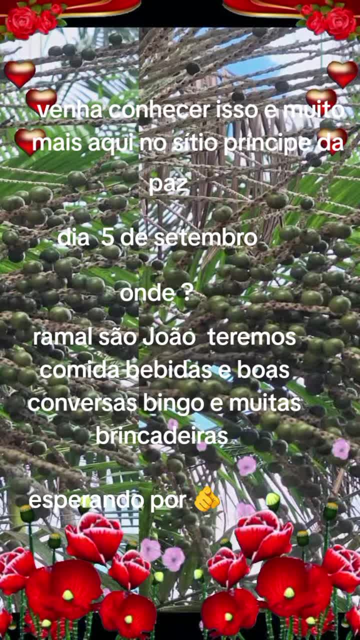 @joanacruz2026