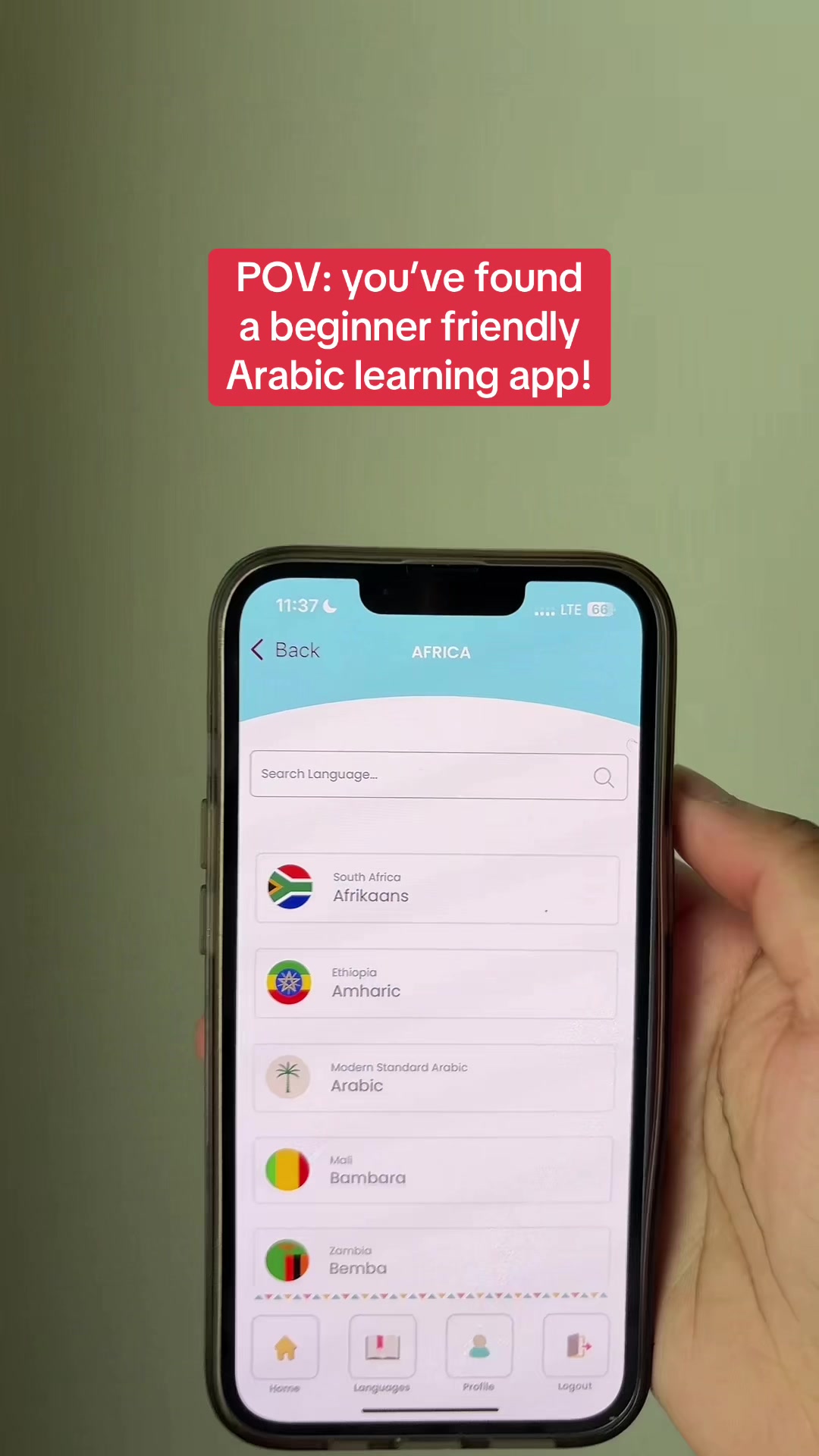 @languagelearner