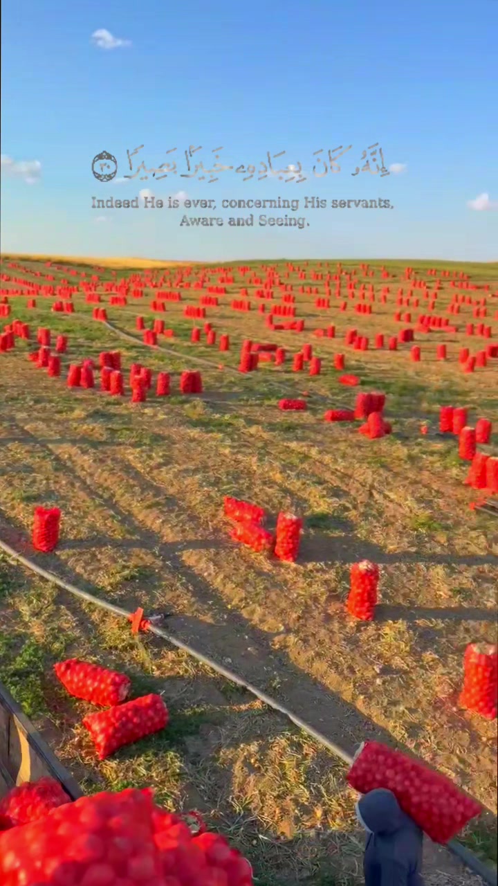 @𖤍عابد𖤍