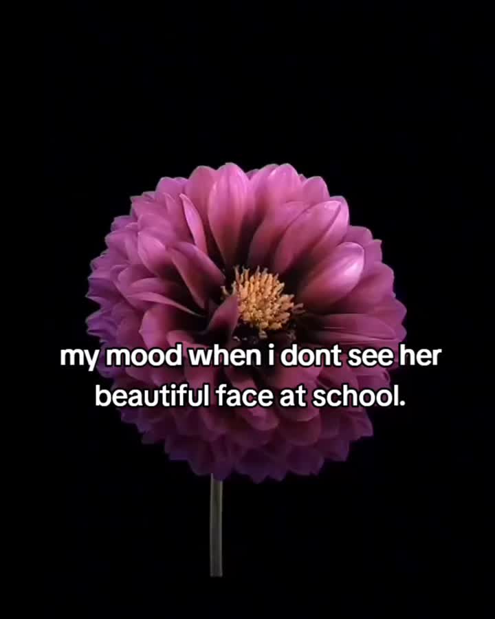 @✮丰JASS丰✮