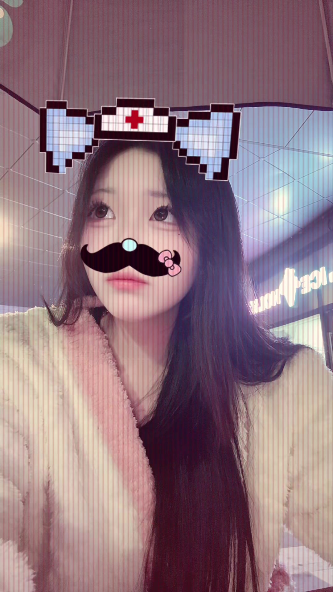 @돌고래