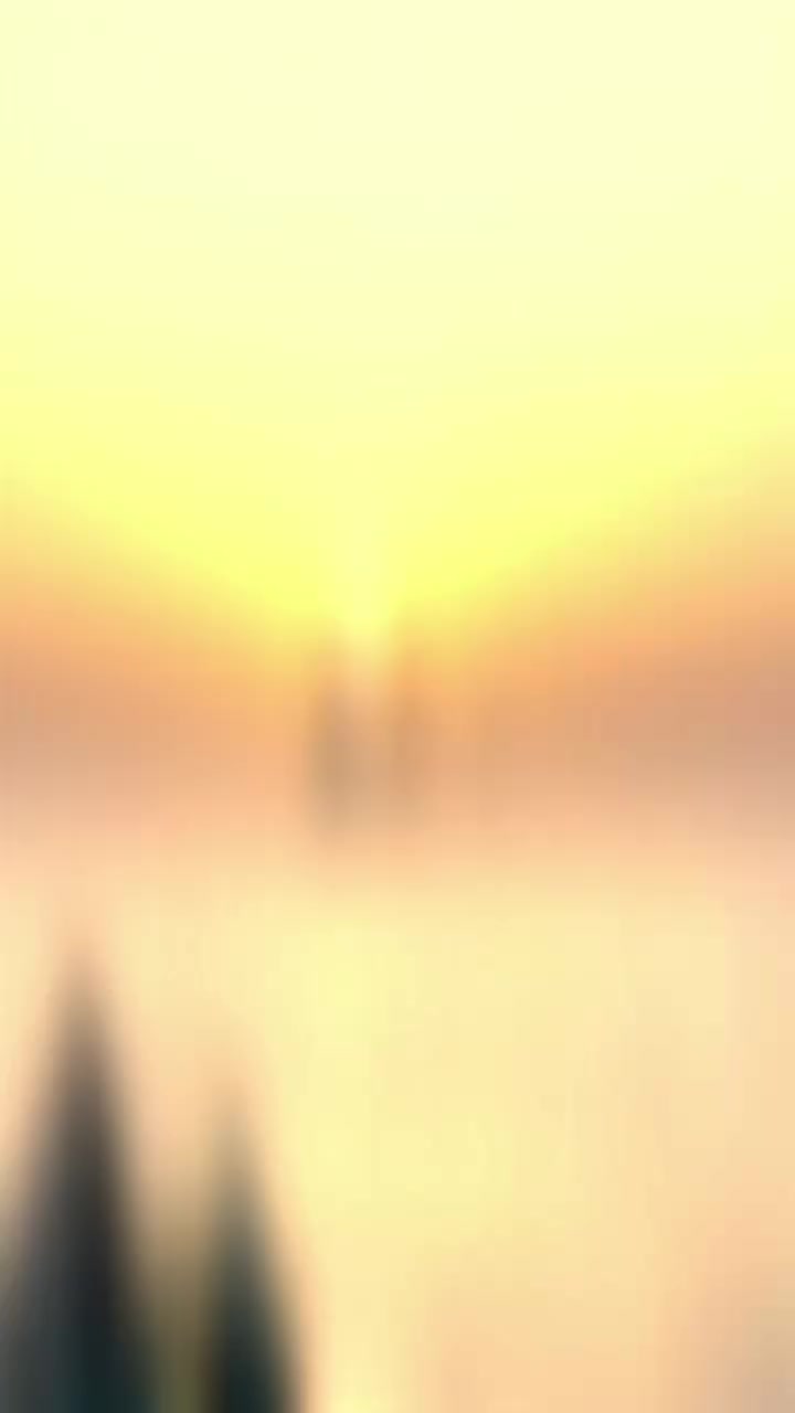 @DXD ⚓🦅