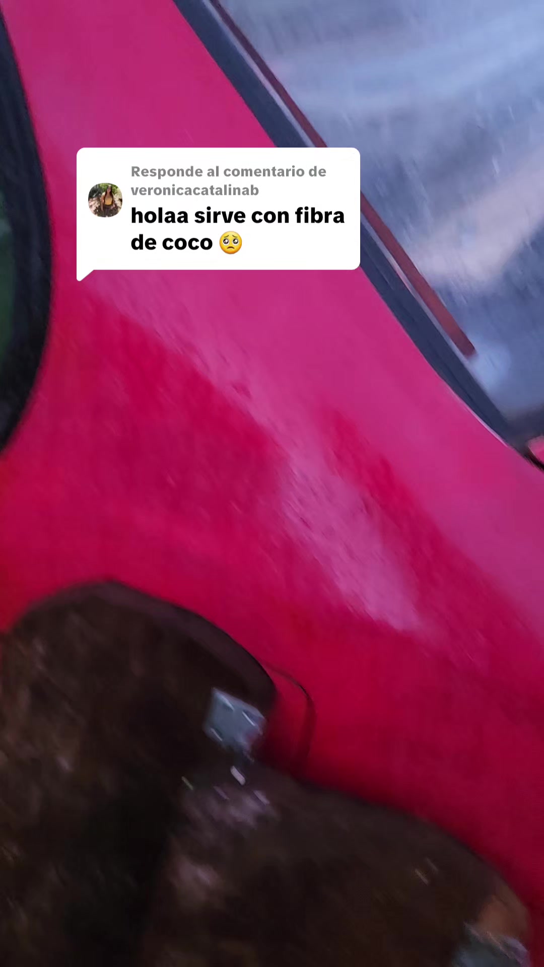 @Ivonne Fherenberg