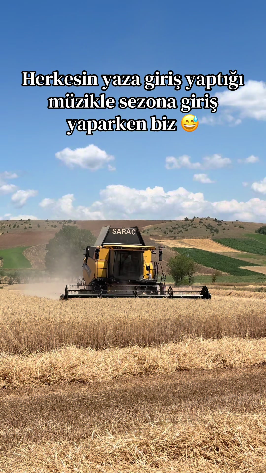 @Yiğit Şenol