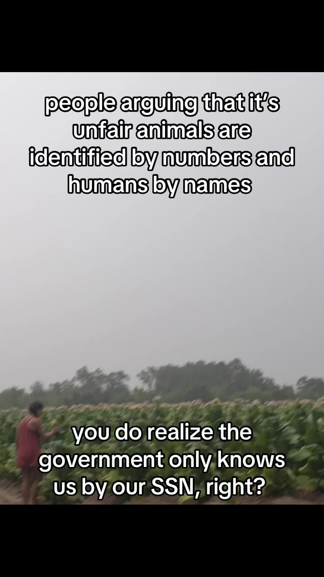 @🐍