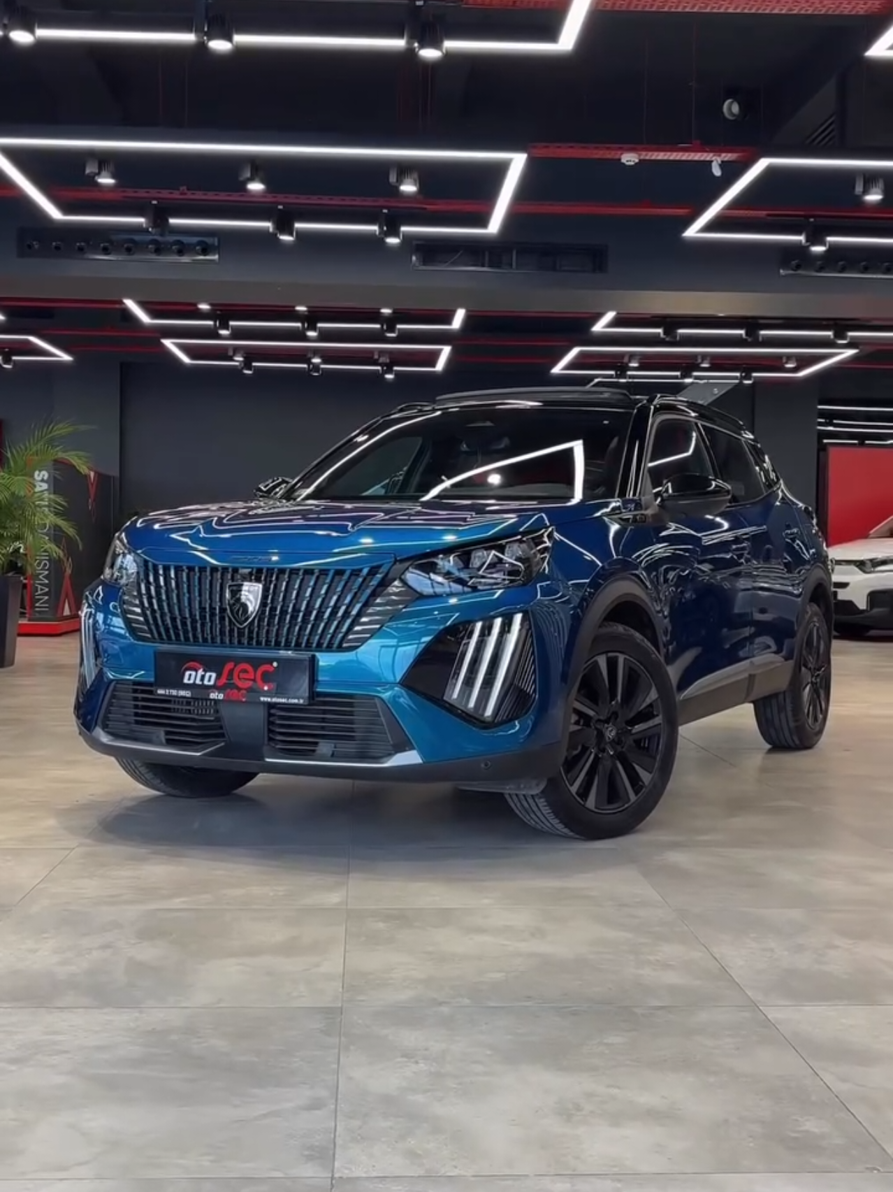 @Kia Peugeot Toyota