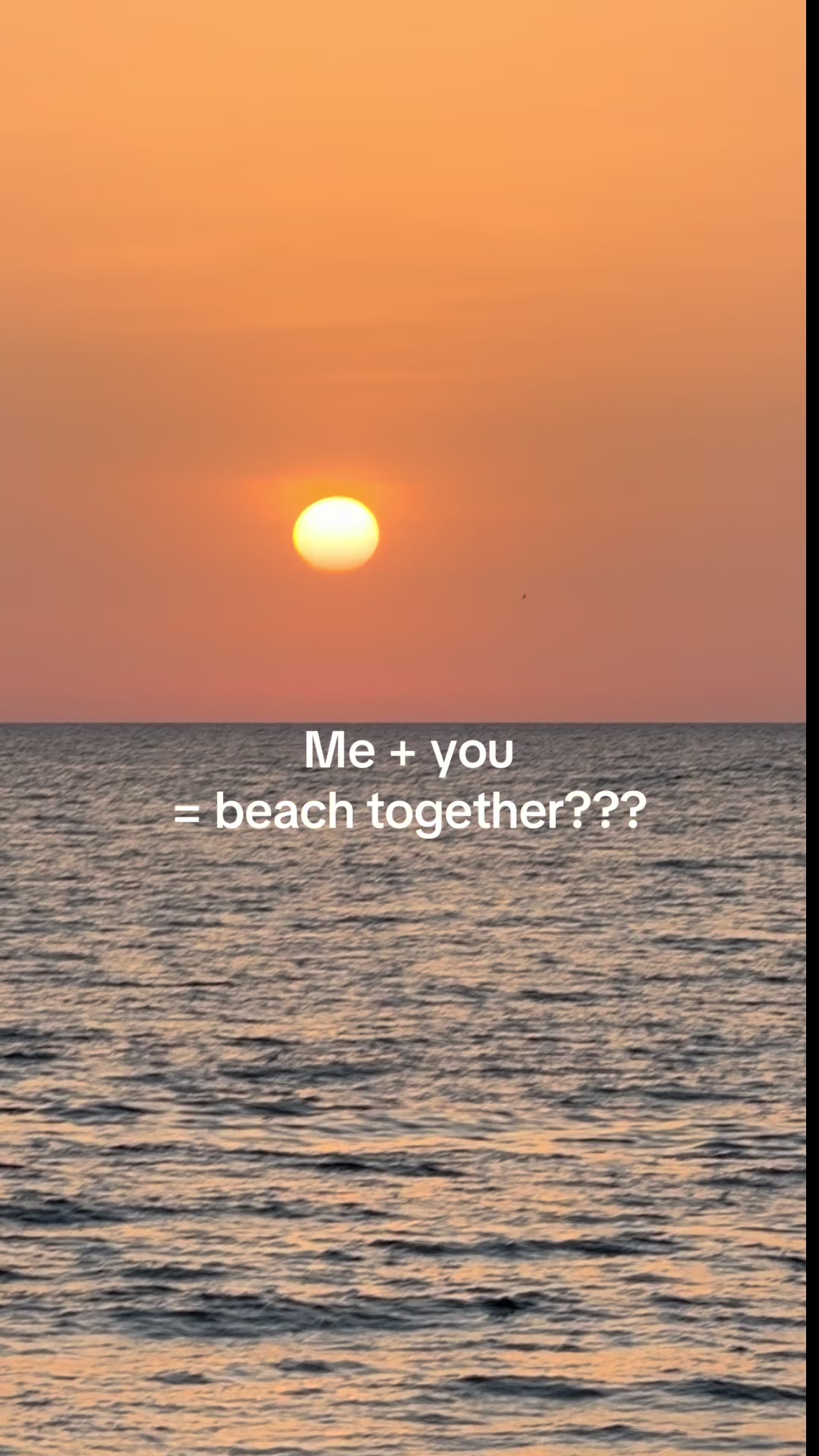 @✩₊˚ 𝒩