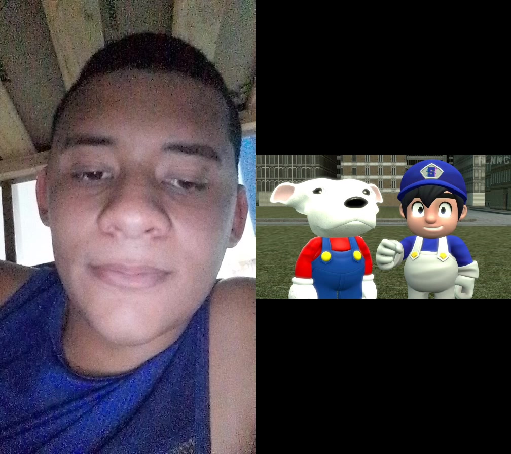 @Lucas Vicente De Silva