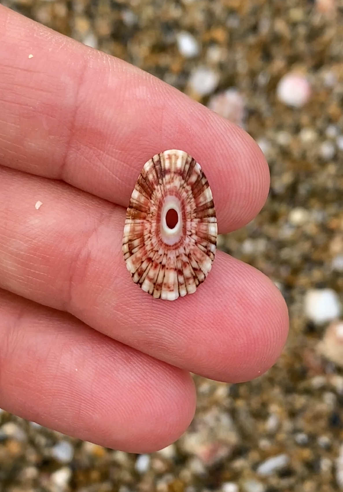 @🐚Jojo🌴