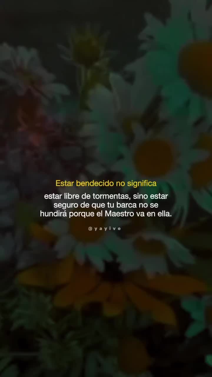 @Yayive Sánchez