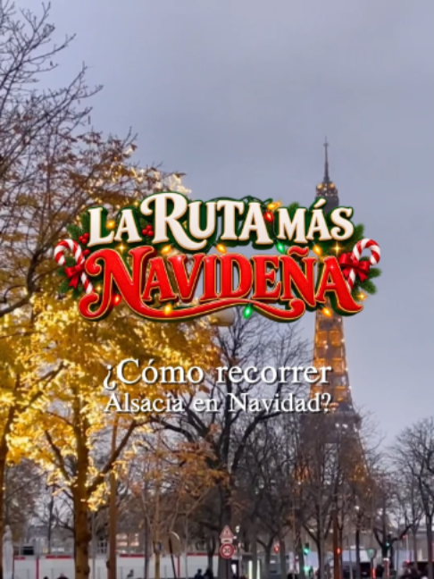 @TravelReportMX