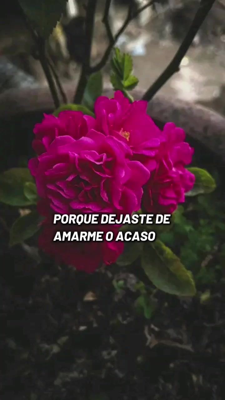 @Lucía Ruiz