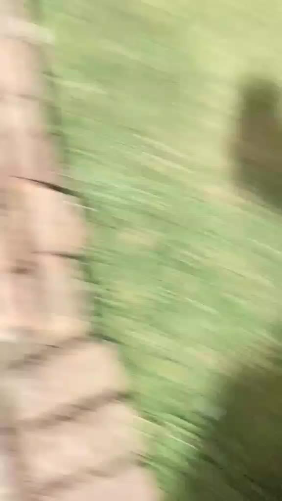 @S. I. I. X Z. E. N. ๐ฟ๐ฆ