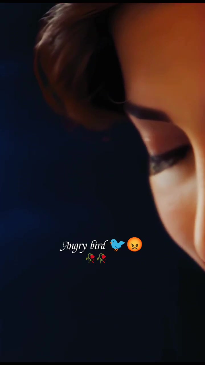 @💫𝖆𝖓𝖌𝖗𝖞 𝖇𝖎𝖗𝖉𝖘💫💥