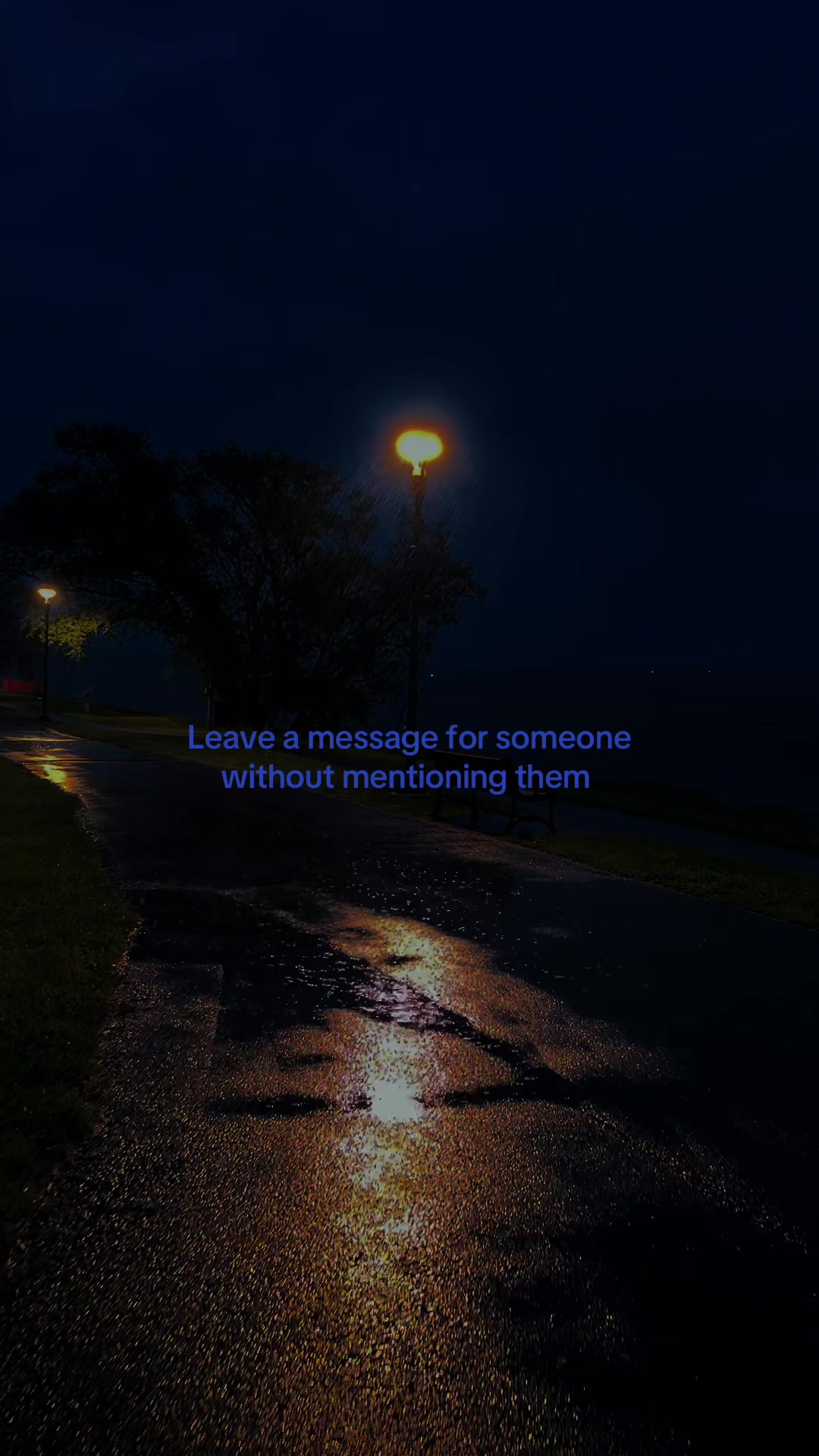 @max 🖤