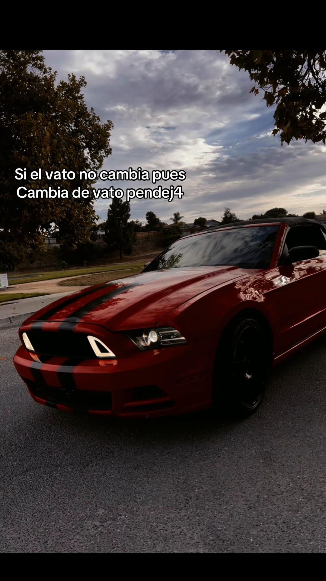@🧔🏻♂️EL_GUERO