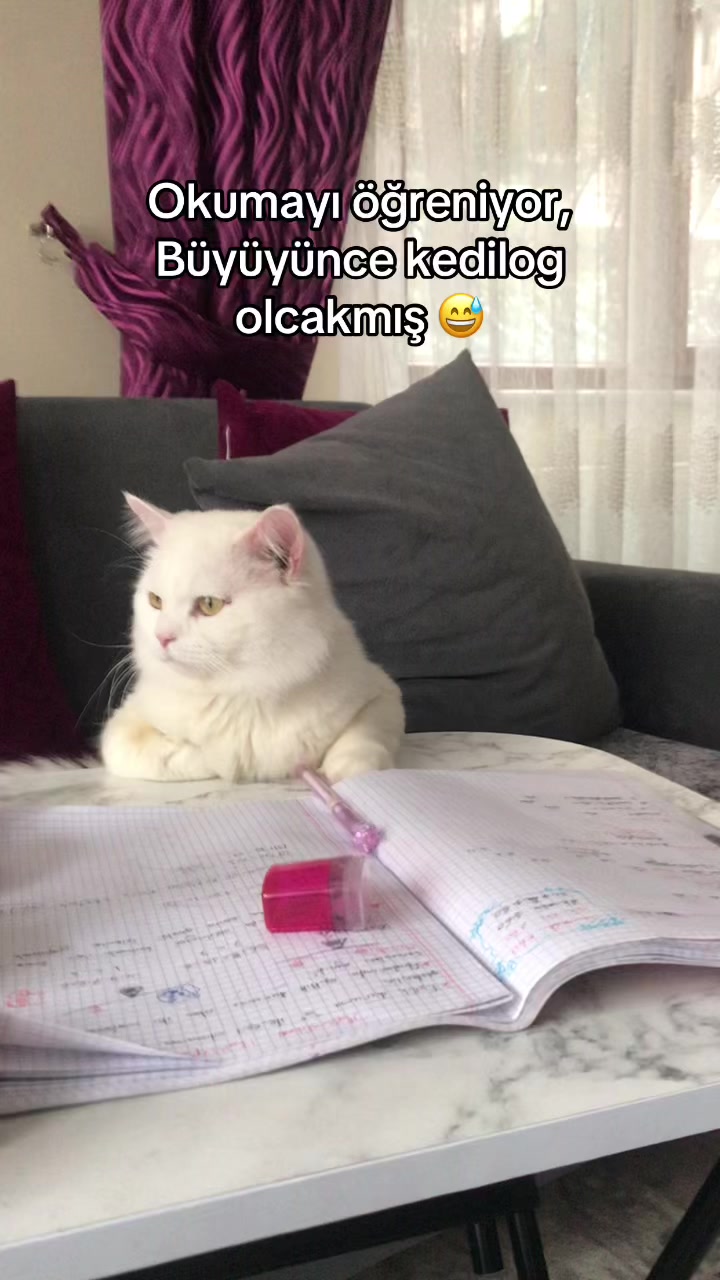 @Neşe