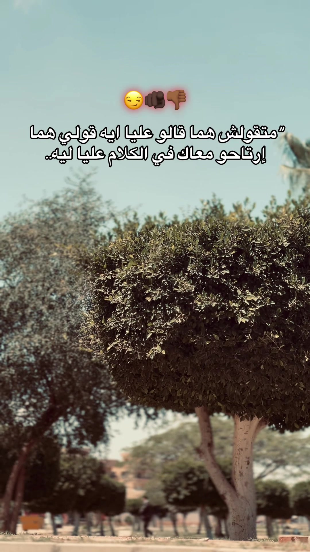 @🔁| يـسـن 🐺