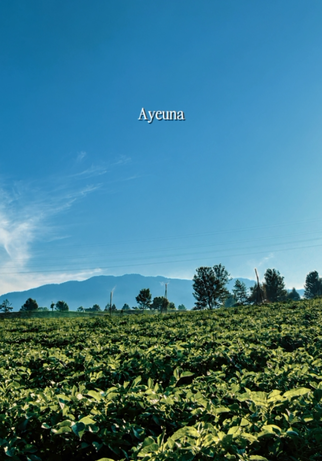 @𝗣𝗲𝘀𝗼𝗻𝗮 𝗗𝗲𝘀𝗮 🍃
