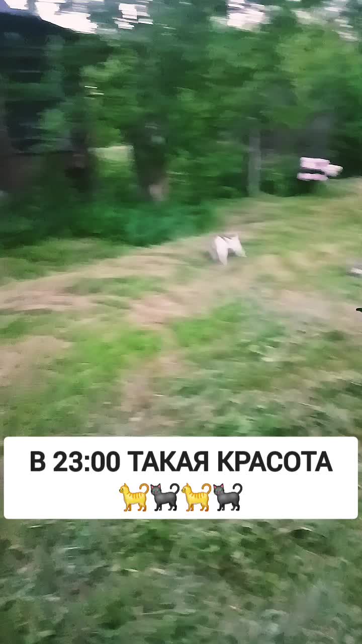 @MAD KARIKH ТАРО