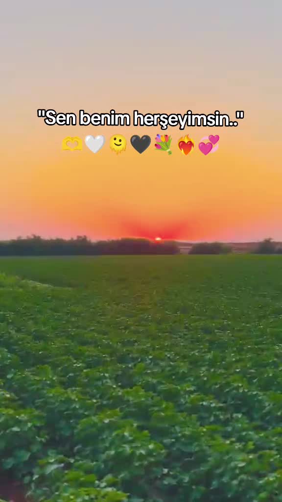 @📌STORY📌.       🫶&hearts;️