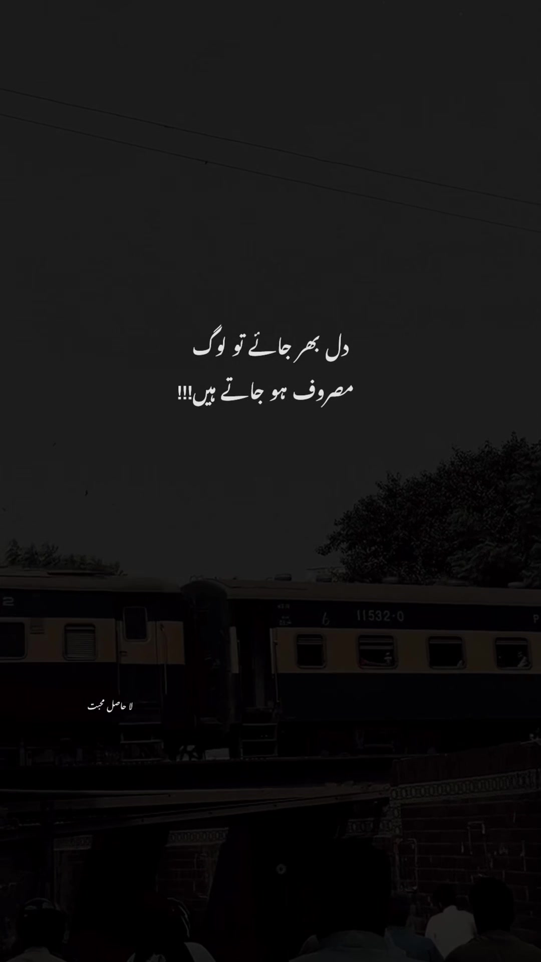 @لا حاصل محبت💔