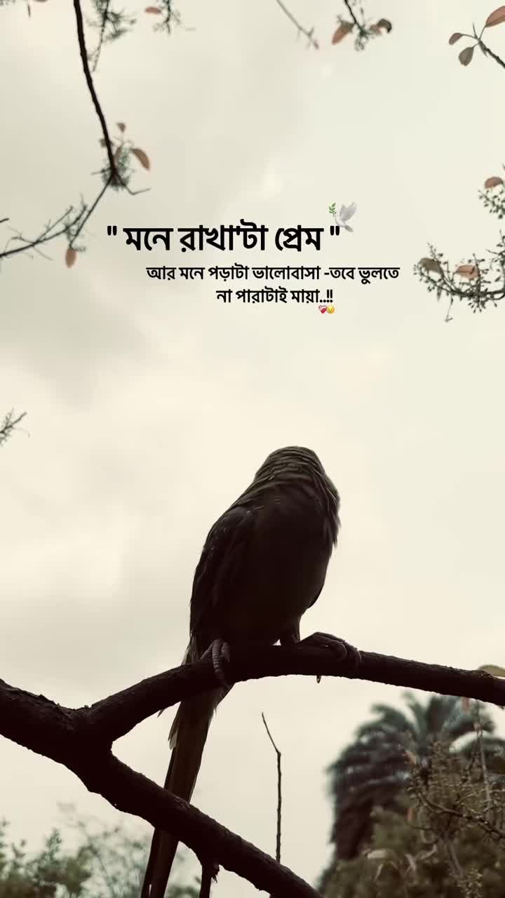 @❤মায়াবী❤