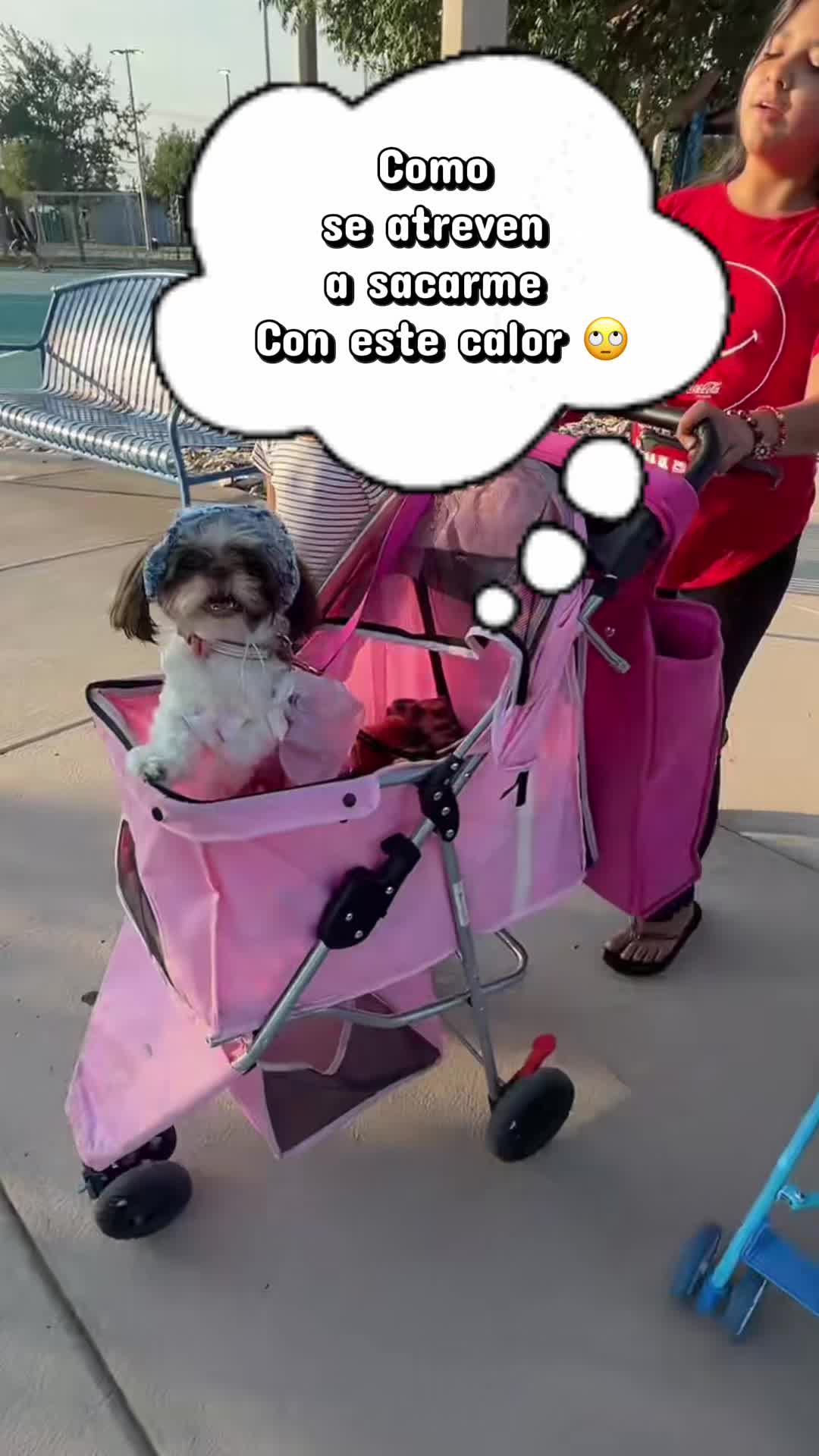 @Josie Zavala