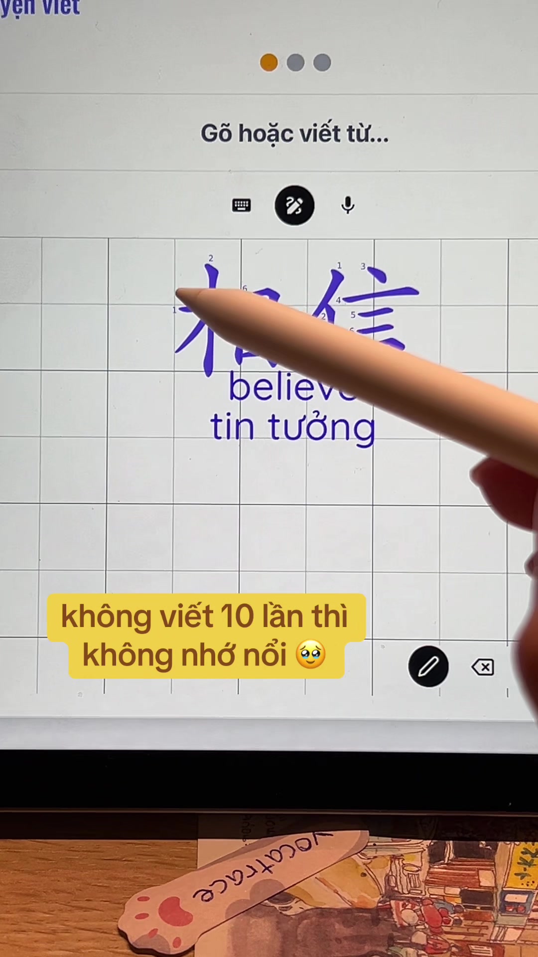 @thuong_studio